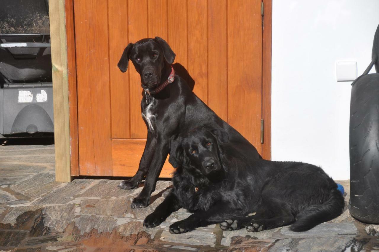 Quinta Do Bom Vento Vendégház Óbidos Kültér fotó